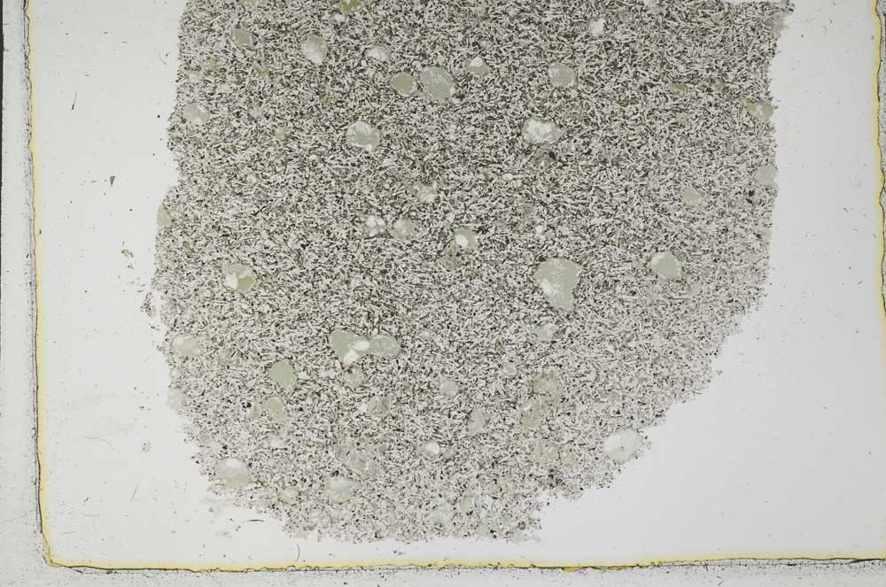 Plane Polarized, S28844