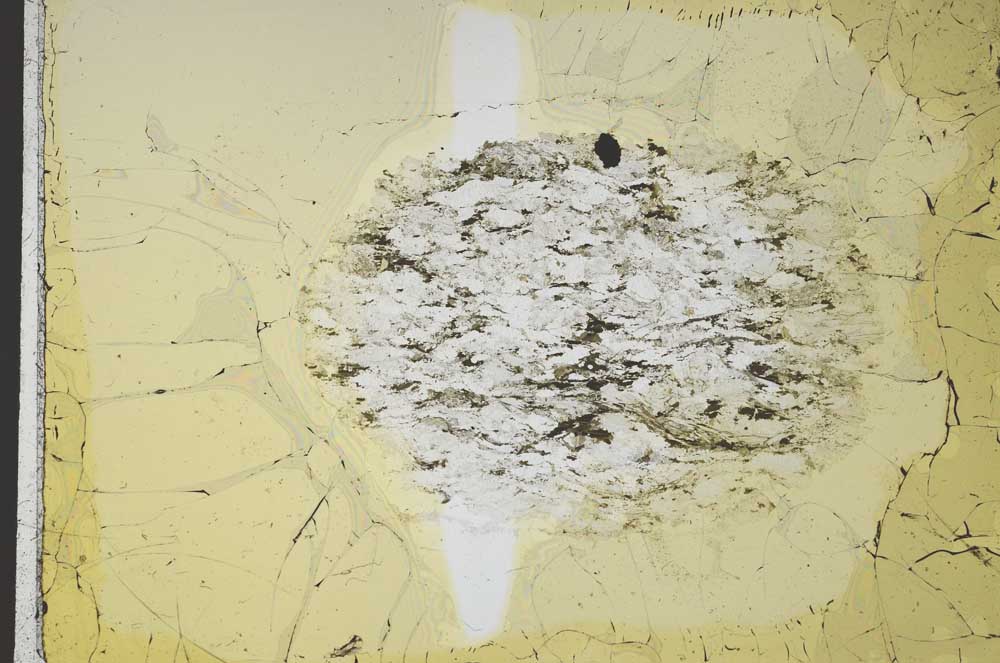 Plane Polarized, S28893