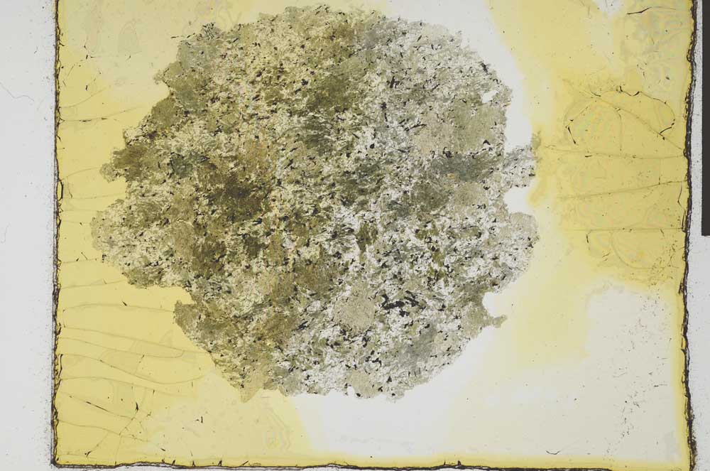 Plane Polarized, S28927