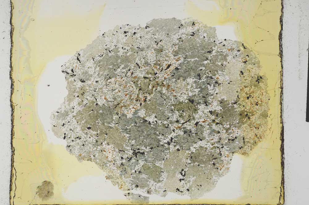 Plane Polarized, S28928
