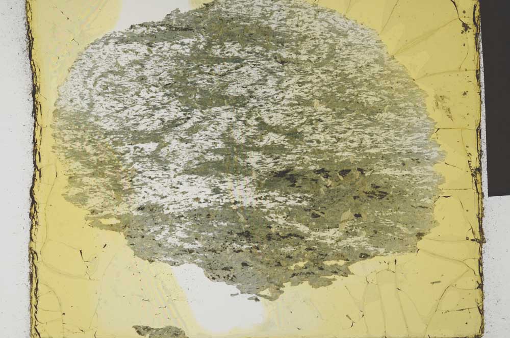 Plane Polarized, S28938