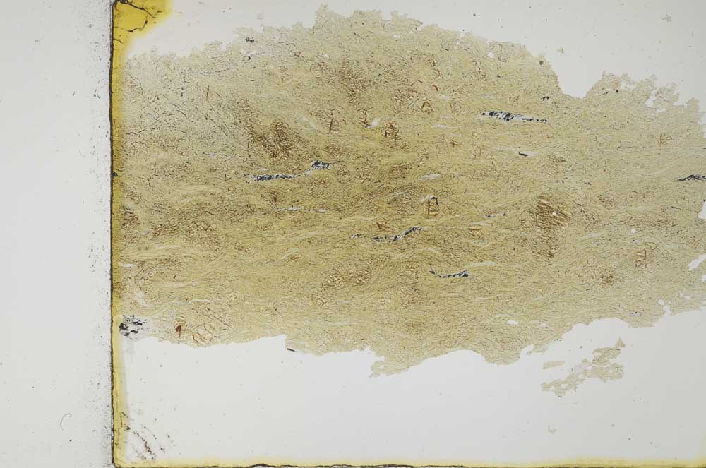 Plane Polarized, S28948