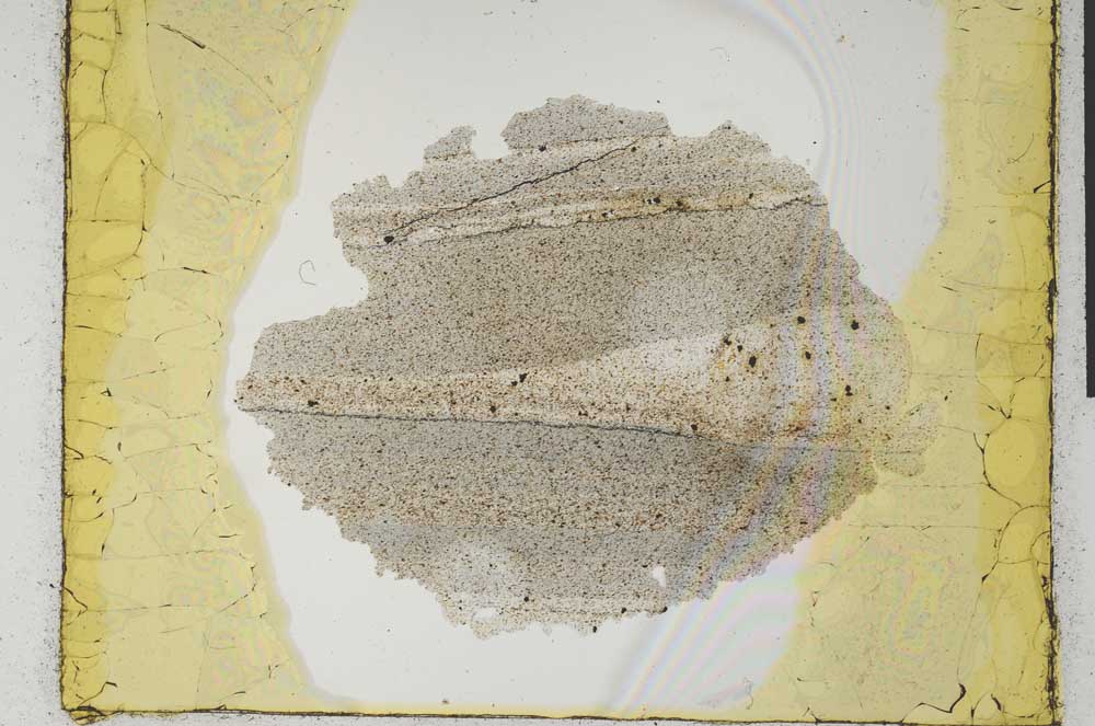 Plane Polarized, S28953