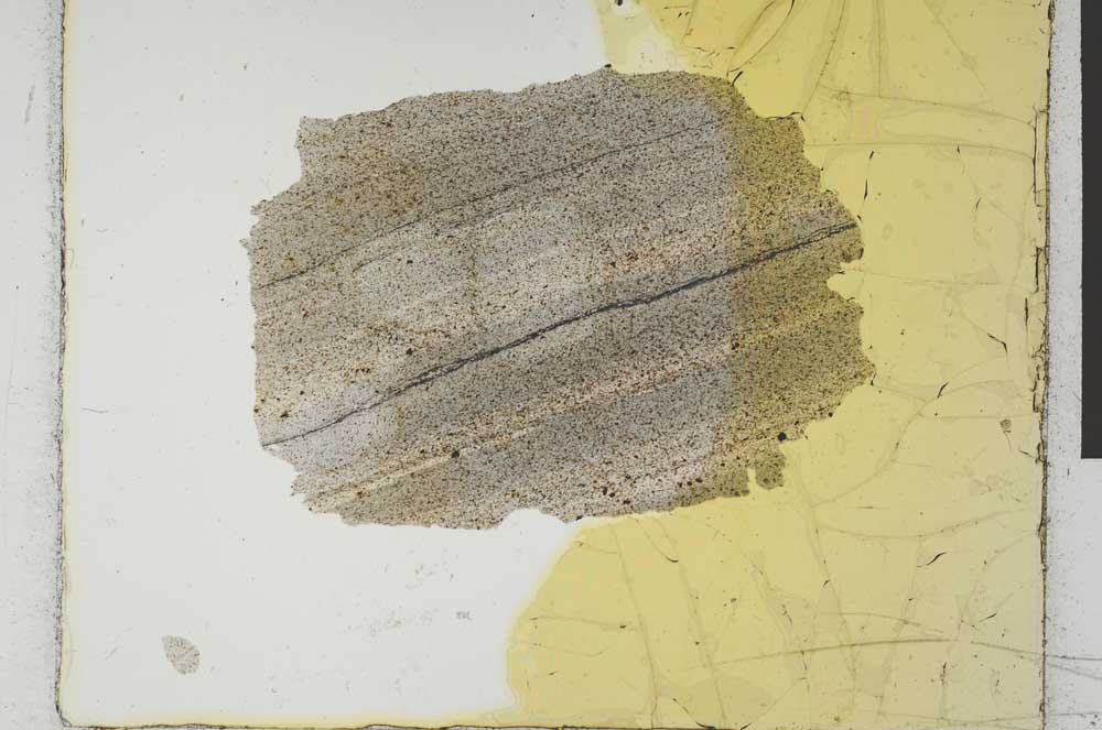 Plane Polarized, S28954