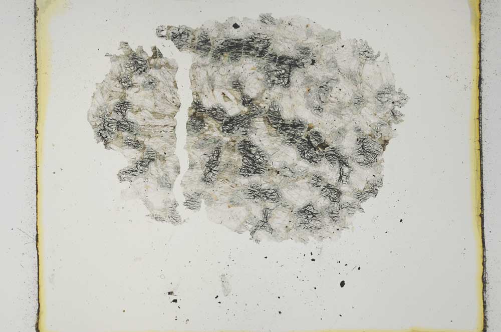 Plane Polarized, S28963