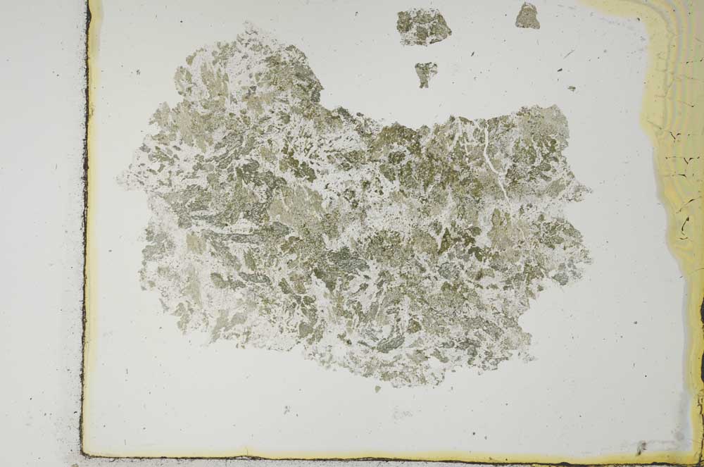 Plane Polarized, S28964