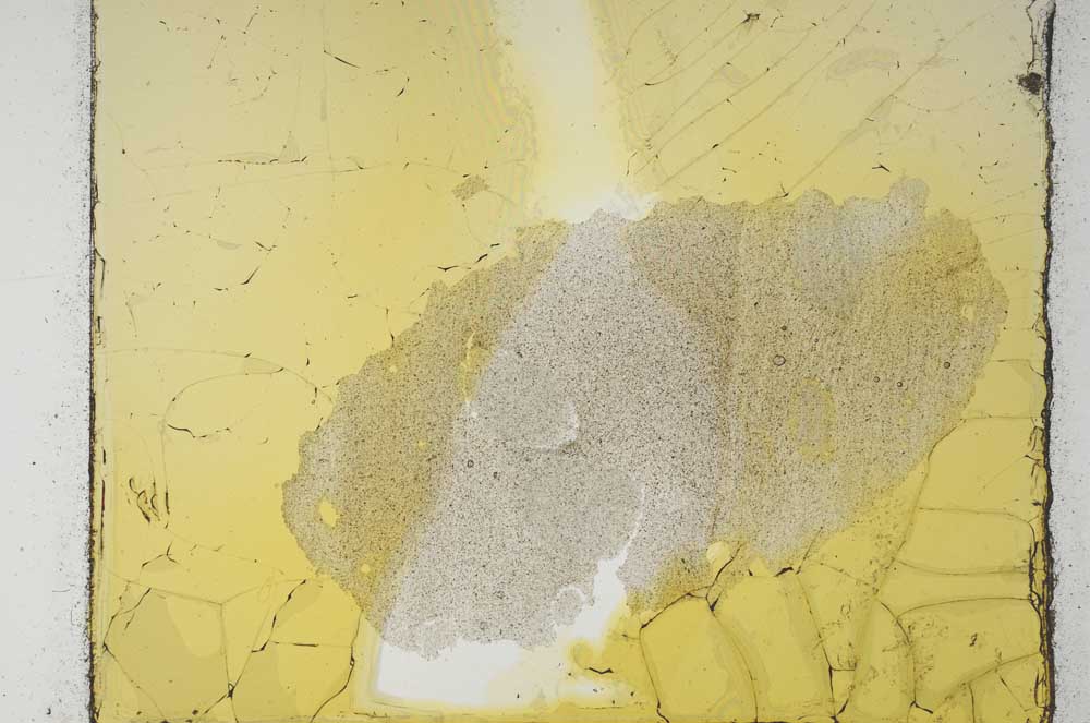Plane Polarized, S28973
