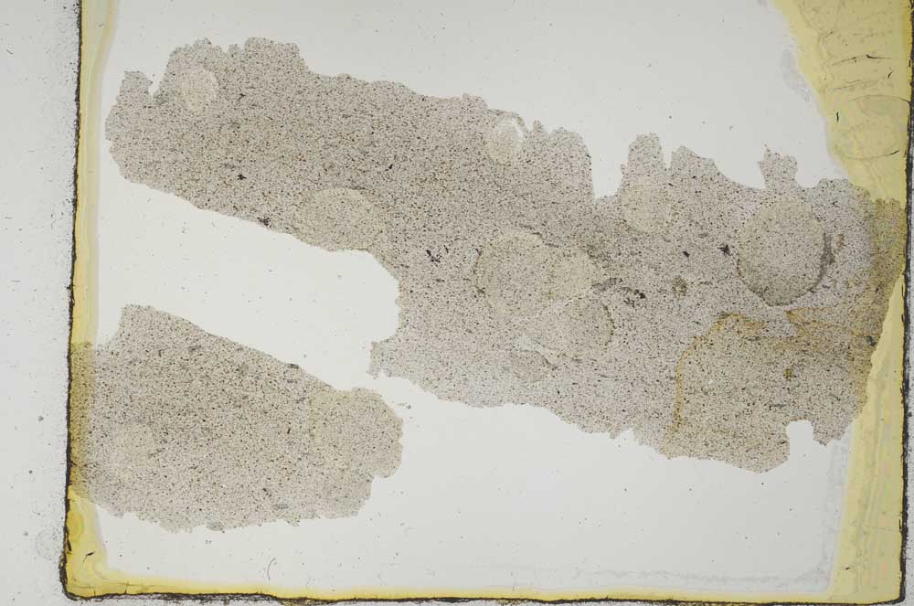 Plane Polarized, S28974