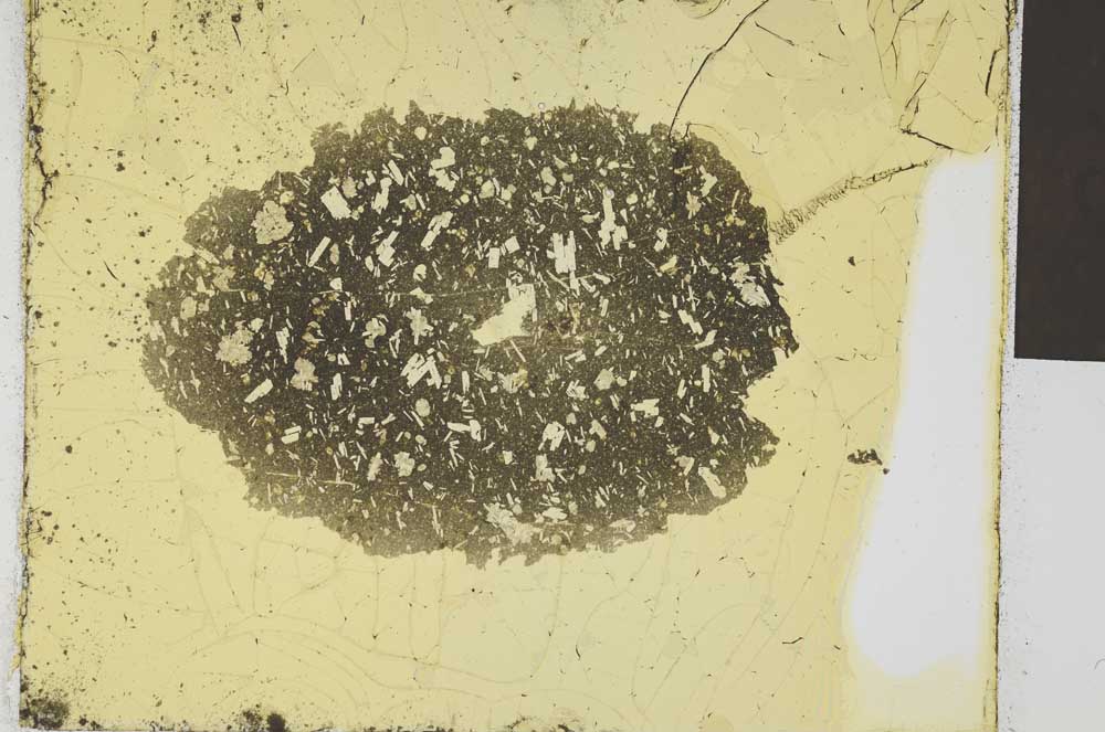Plane Polarized, S28993