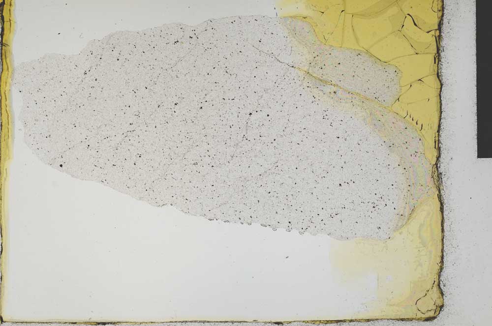 Plane Polarized, S29014