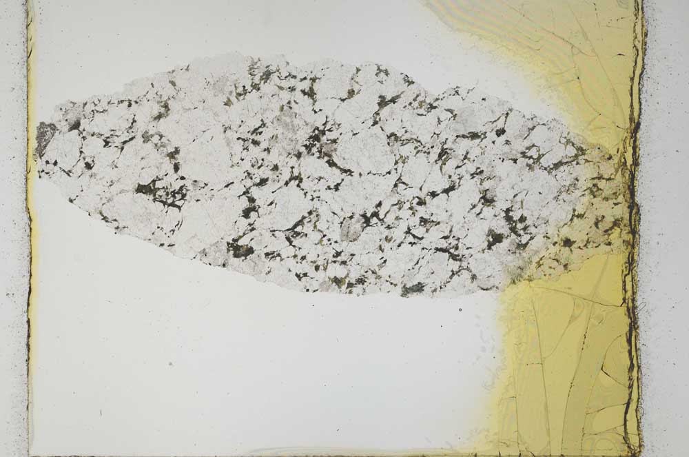 Plane Polarized, S29018