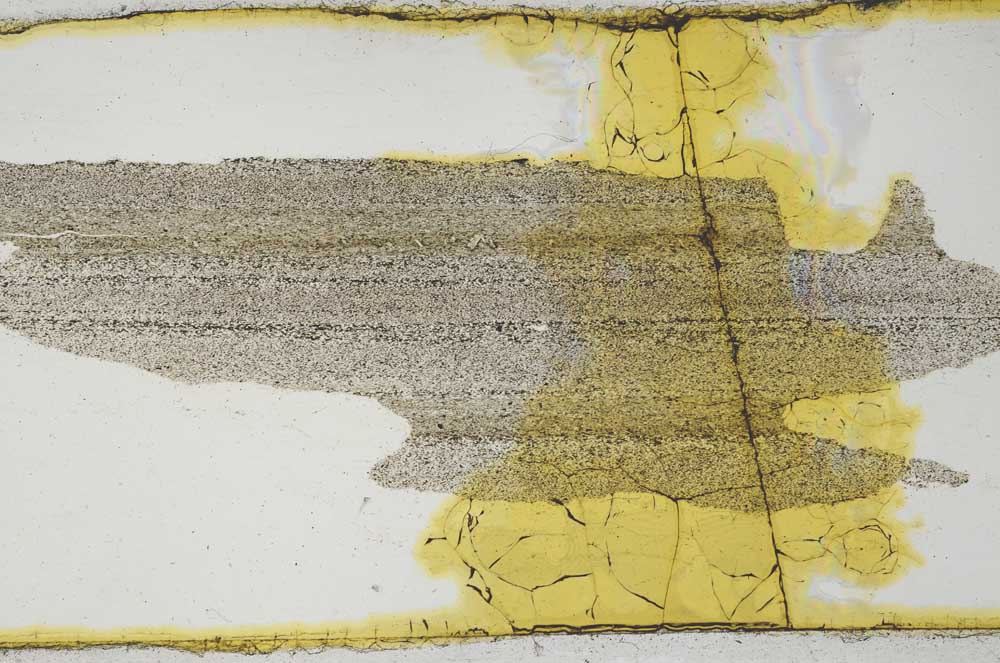 Plane Polarized, S29023