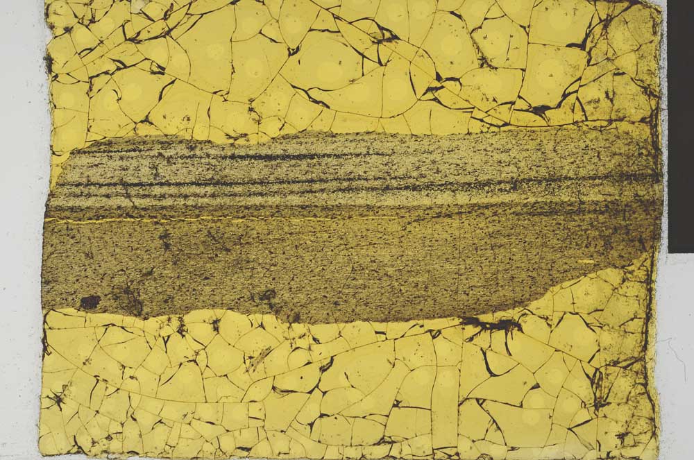 Plane Polarized, S29028