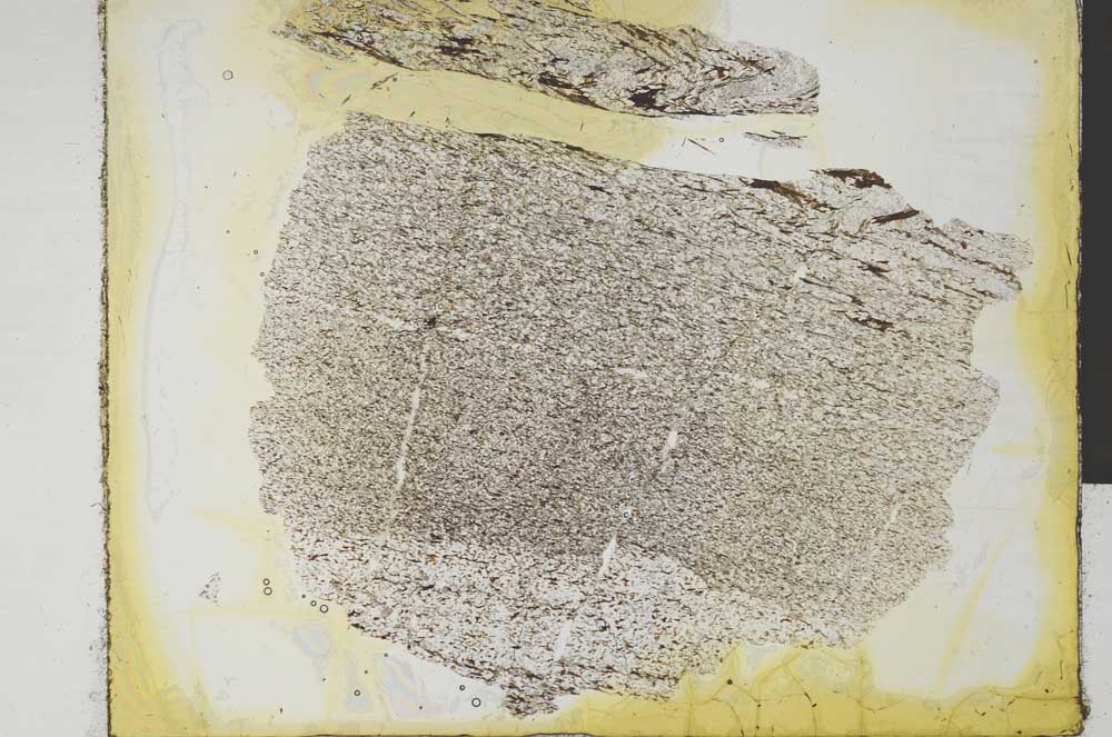Plane Polarized, S29029
