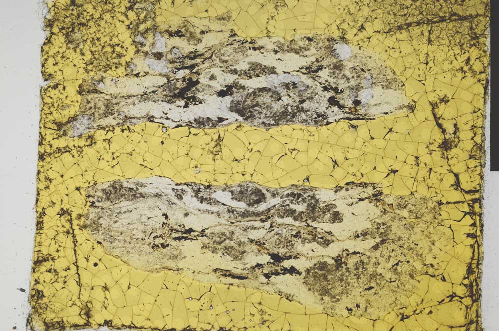 Plane Polarized, S29041