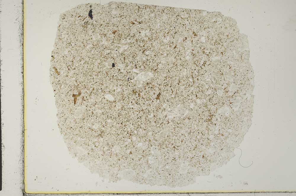 Plane Polarized, S29163