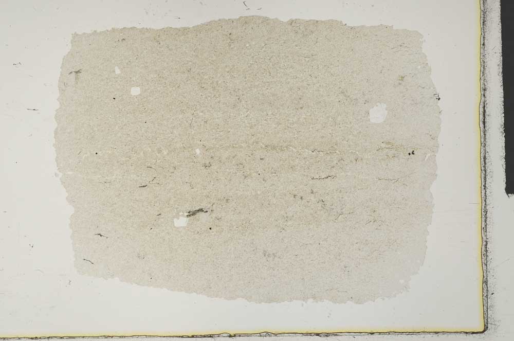 Plane Polarized, S29179