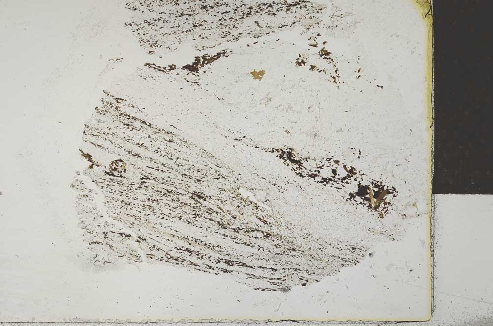 Plane Polarized, S29197