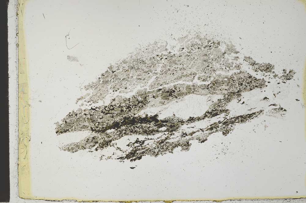 Plane Polarized, S29199