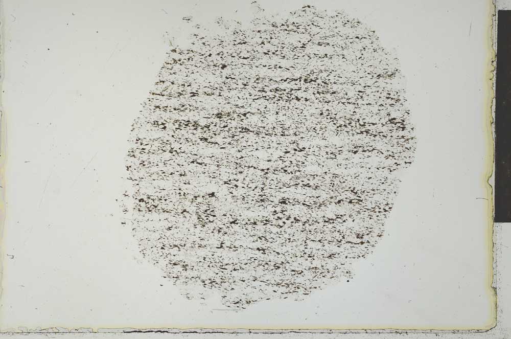 Plane Polarized, S29201