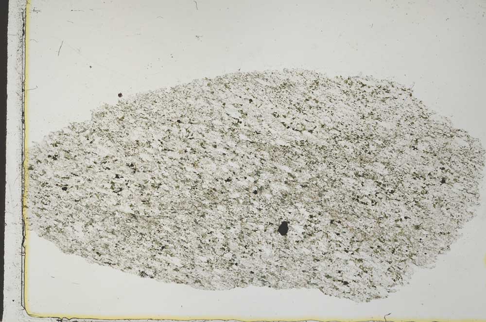 Plane Polarized, S29204