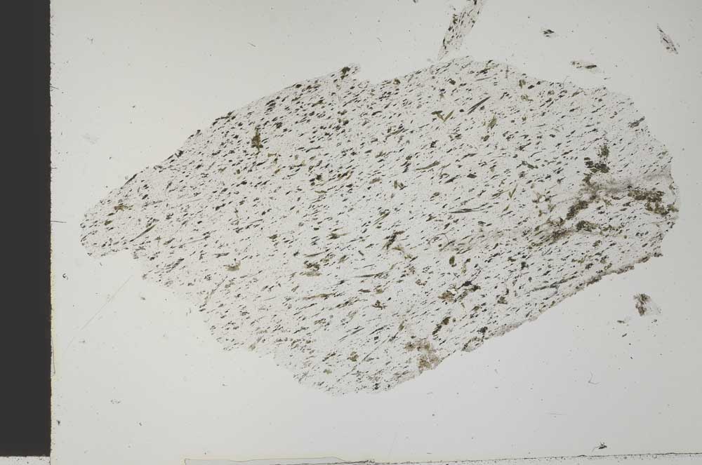 Plane Polarized, S29211