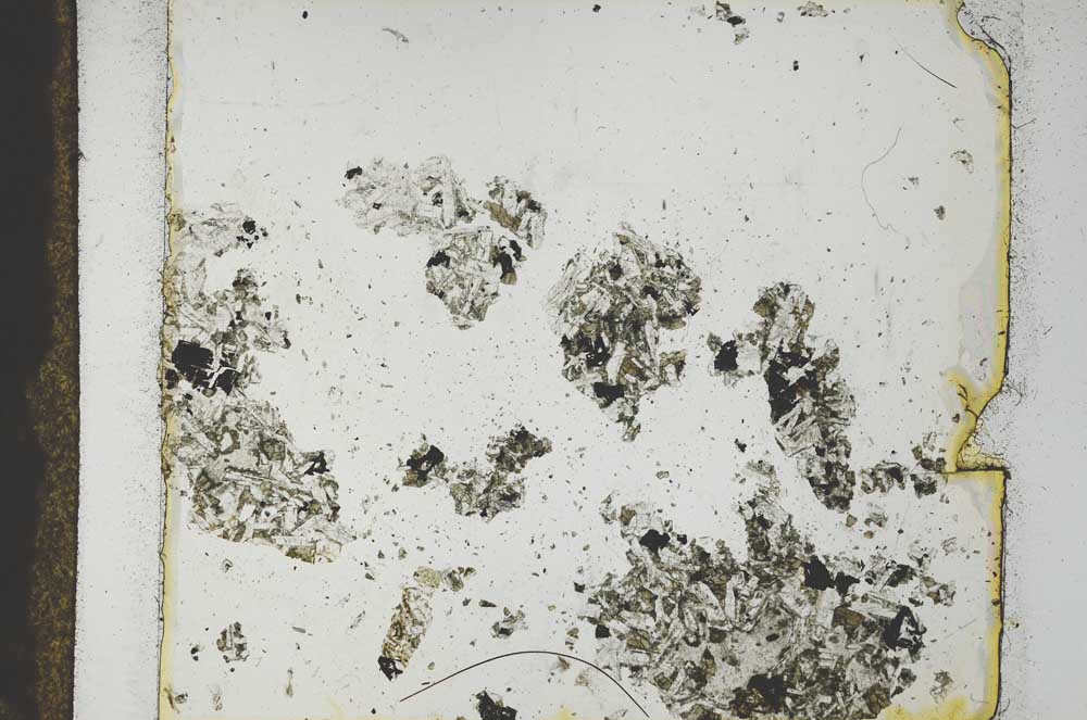 Plane Polarized, S29231