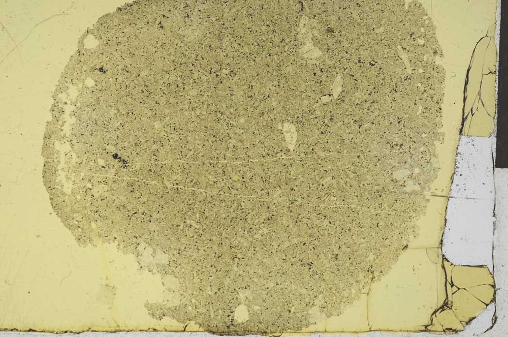 Plane Polarized, S29236