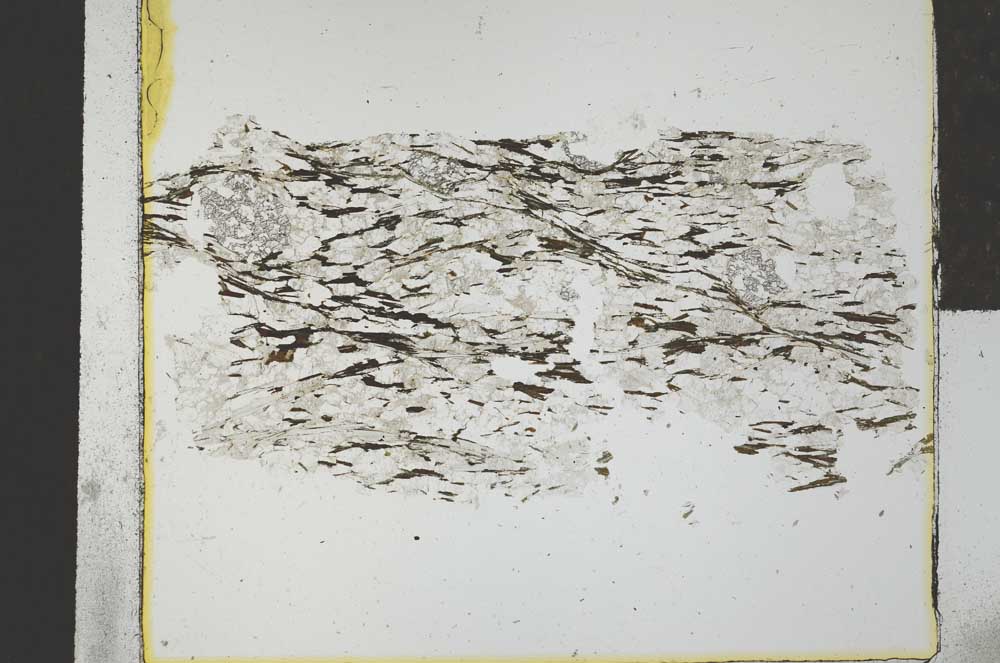 Plane Polarized, S29257