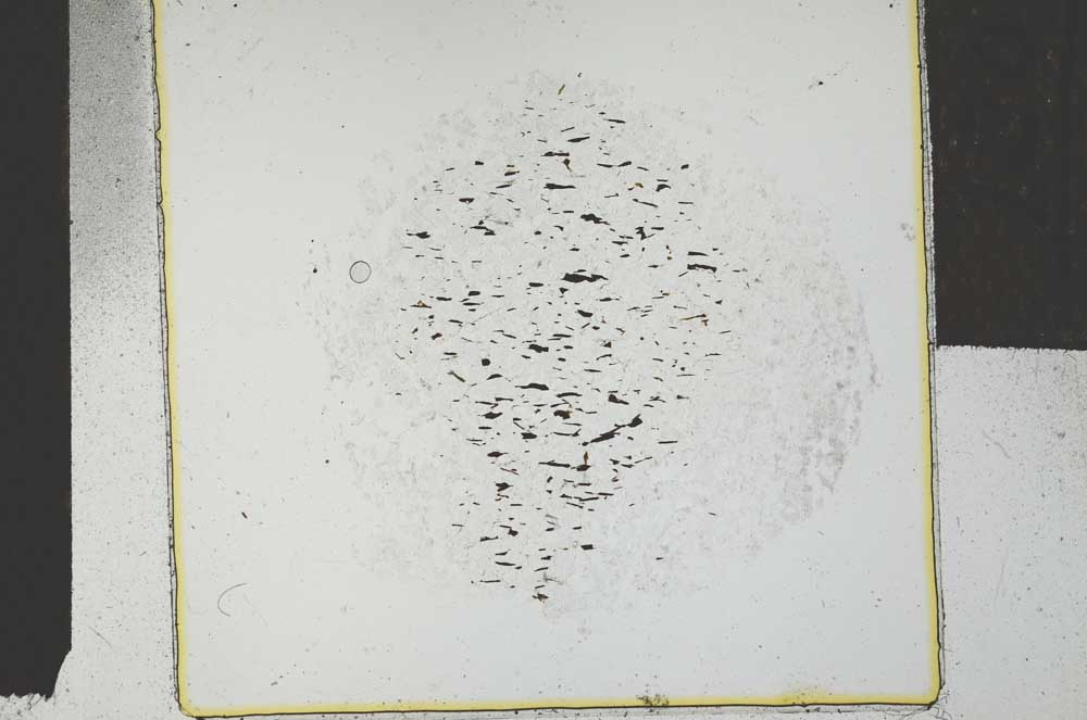 Plane Polarized, S29259