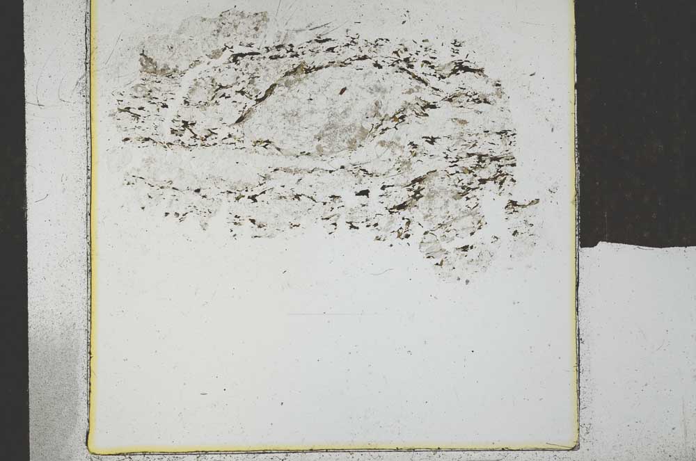 Plane Polarized, S29264