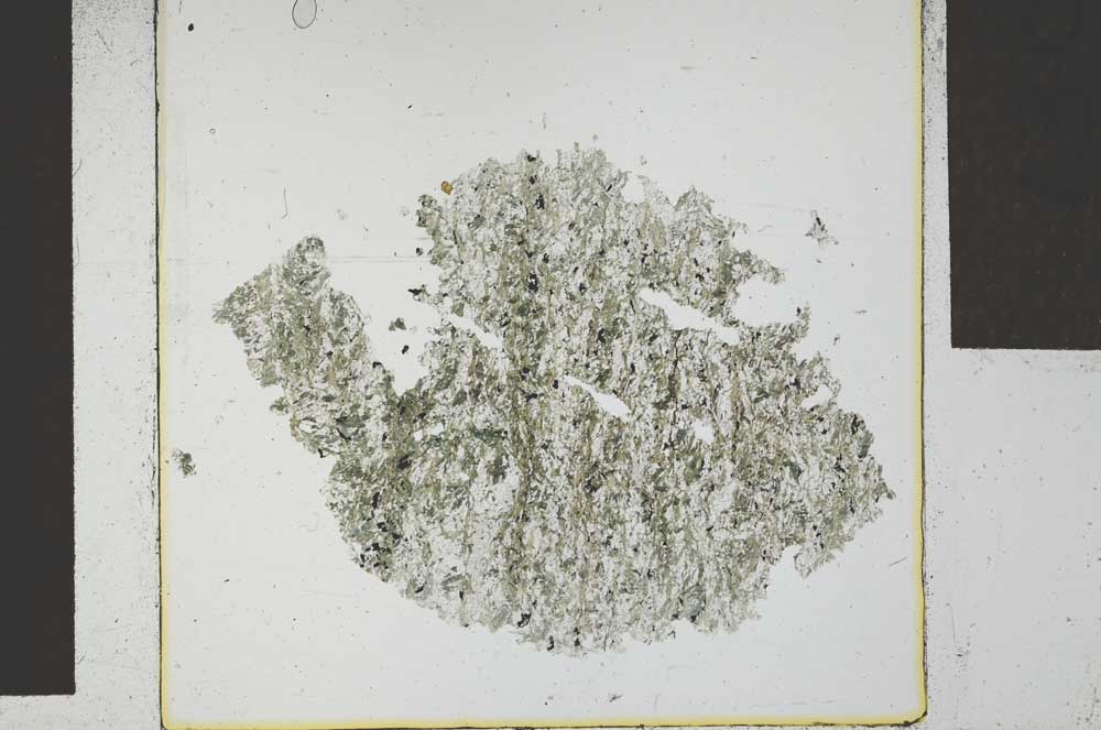 Plane Polarized, S29248
