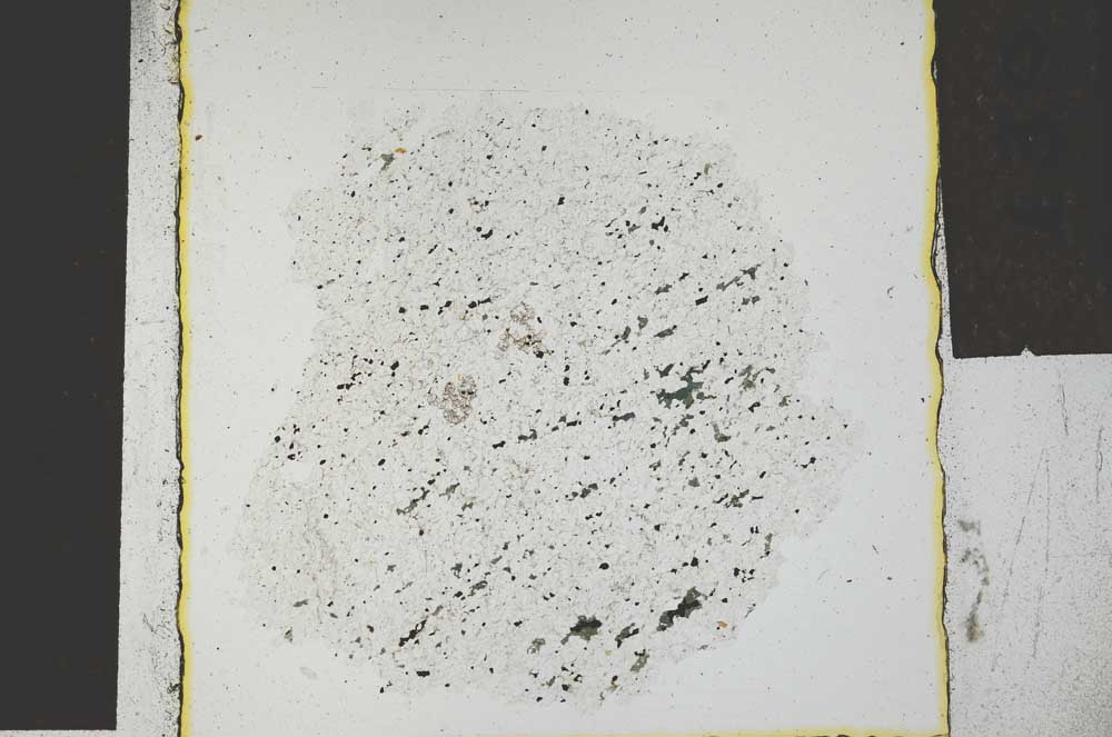 Plane Polarized, S29273