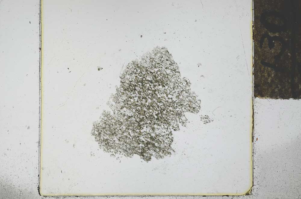 Plane Polarized, S29281