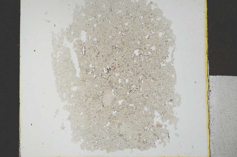 Plane Polarized, S29304