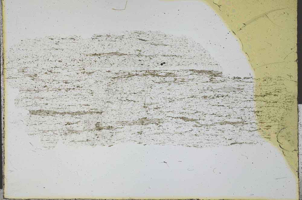 Plane Polarized, S29313