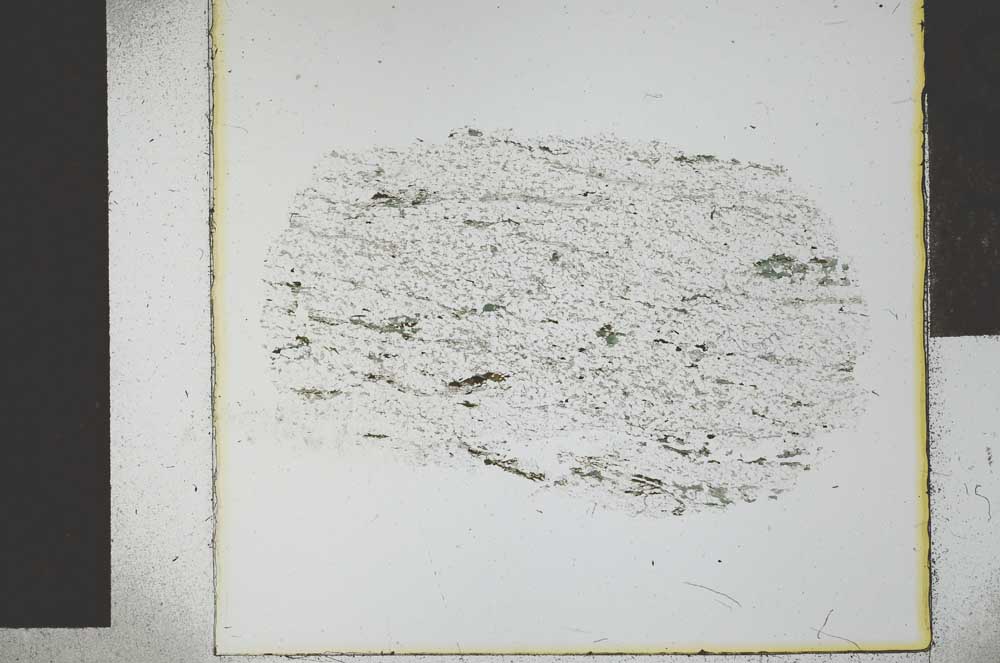 Plane Polarized, S29320