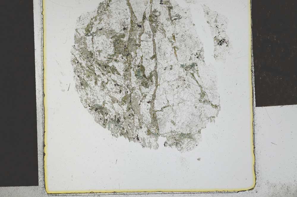 Plane Polarized, S29322