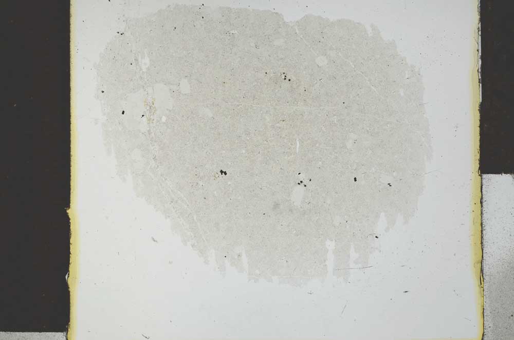 Plane Polarized, S29324