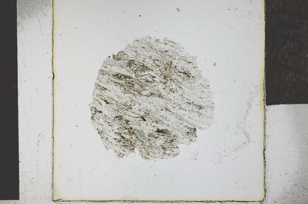 Plane Polarized, S29325