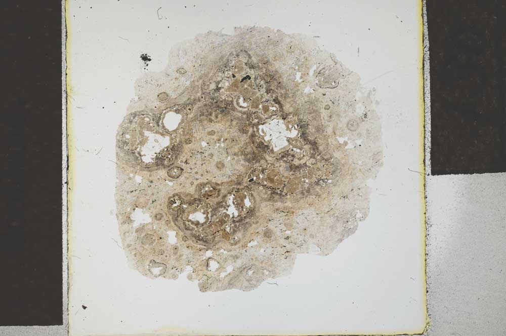 Plane Polarized, S29332