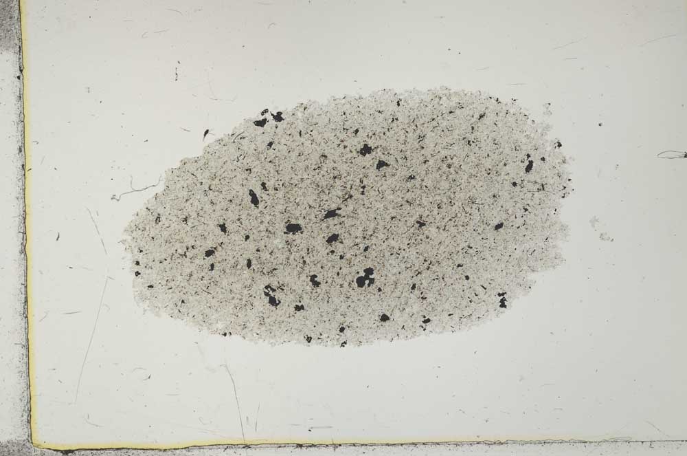 Plane Polarized, S29353