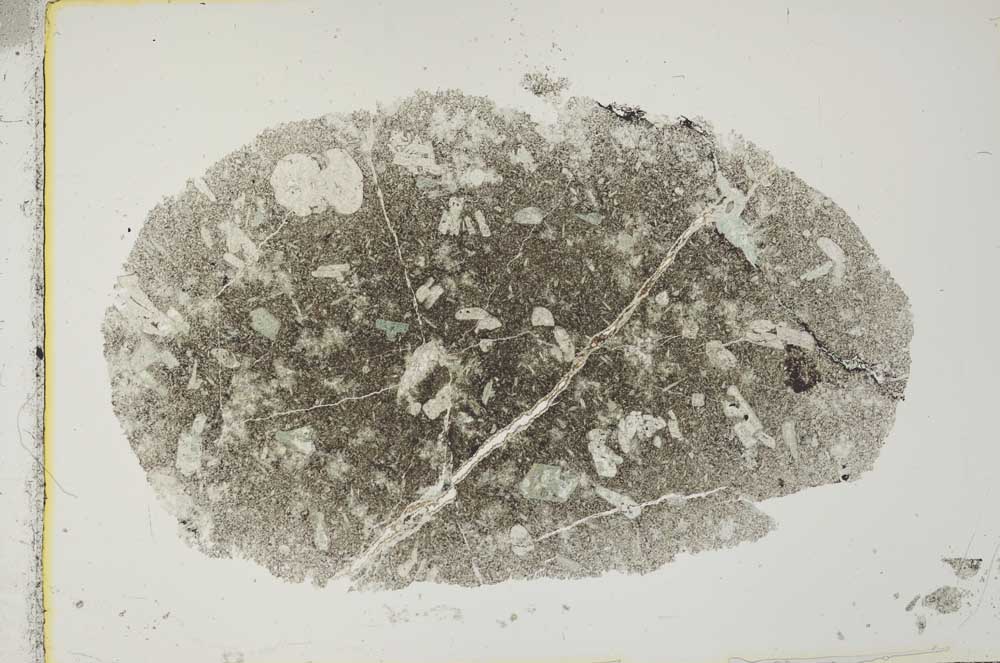 Plane Polarized, S29357