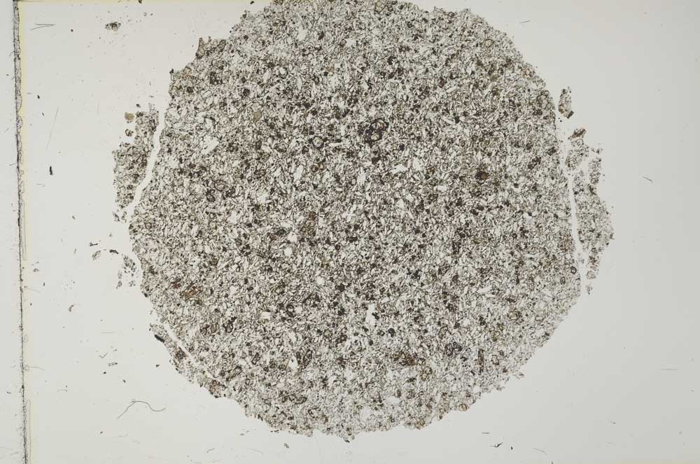 Plane Polarized, S29359