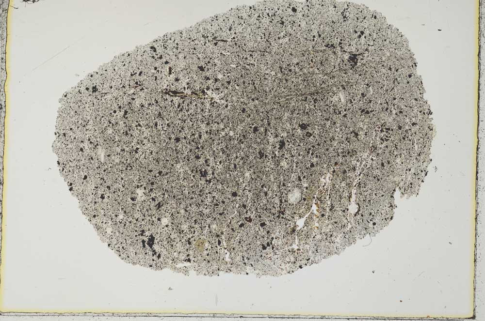 Plane Polarized, S29364