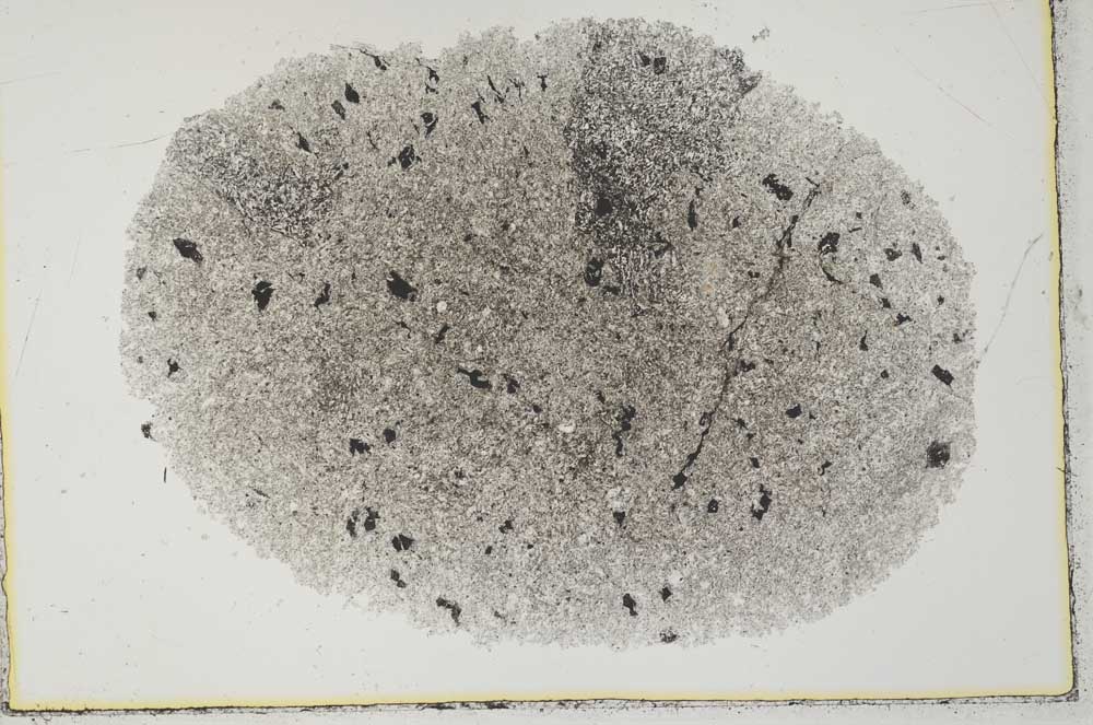 Plane Polarized, S29367