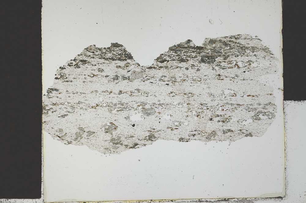 Plane Polarized, S29424