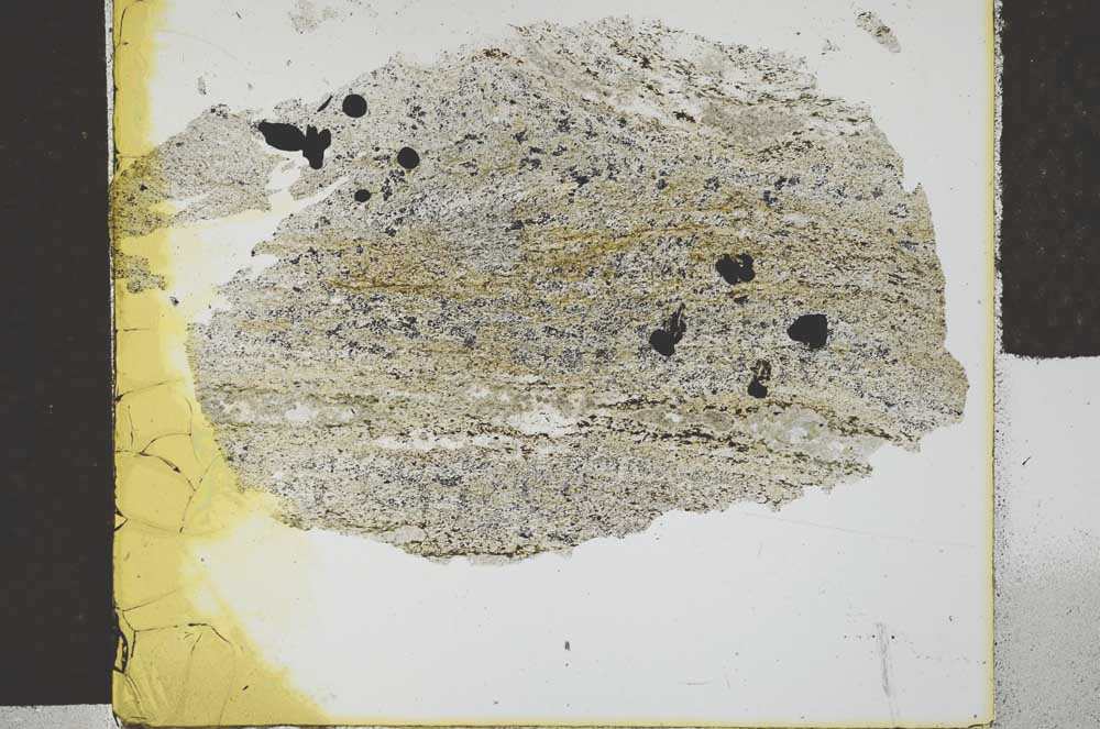 Plane Polarized, S29427