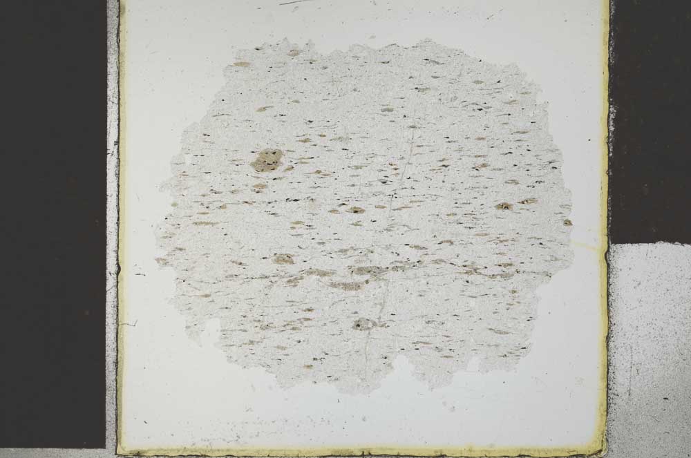 Plane Polarized, S29432