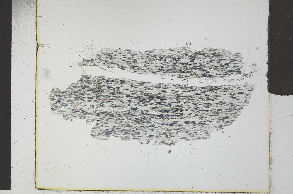 Plane Polarized, S29434